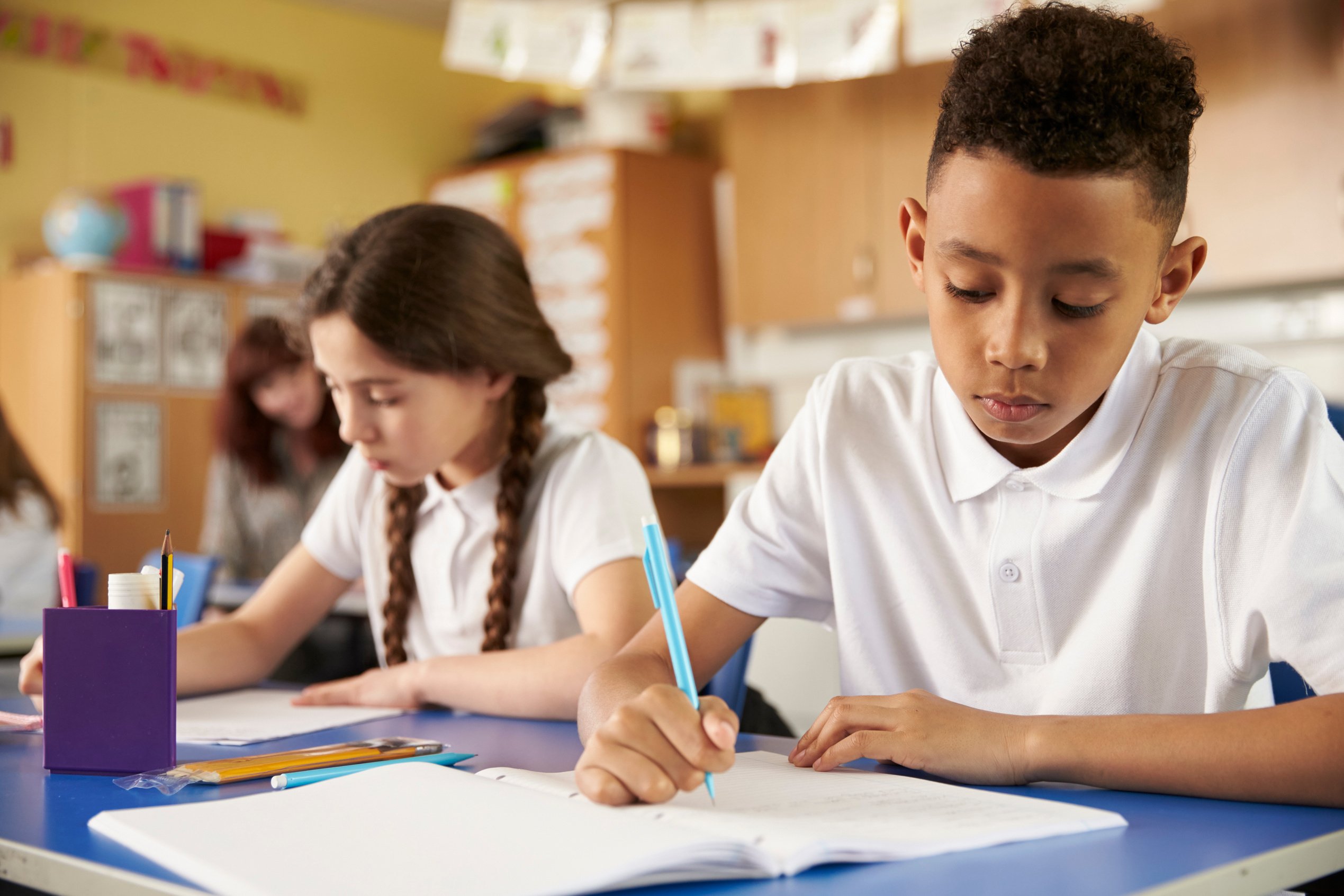 Two Primary School Pupils  